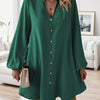 Chic V-Neck Long Sleeve A-Line Dress - Button Front, Stretchy Polyester Blend, Machine Washable