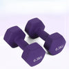 2-Pack Purple Dipped Cast Iron Dumbbells Compact Fixed-Weight Home Workout Set for Women