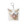 Funny Cat Meme Acrylic Keychain - Cute Cartoon Cat Bag Pendant & Lanyard for Women, Students, Unisex Gift