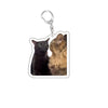 Funny Cat Meme Acrylic Keychain - Cute Cartoon Cat Bag Pendant & Lanyard for Women, Students, Unisex Gift