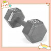 20 lb (9 kg) Hex Dumbbell - Rubber-Coated Cast Iron Anti-Roll Home Gym Weight