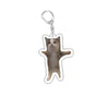 Funny Cat Meme Acrylic Keychain - Cute Cartoon Cat Bag Pendant & Lanyard for Women, Students, Unisex Gift