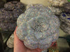 Floral Rhinestone Minaudiere Evening Clutch Rose Crystal Bridal Wedding Party Bag