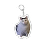 Funny Cat Meme Acrylic Keychain - Cute Cartoon Cat Bag Pendant & Lanyard for Women, Students, Unisex Gift