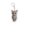 Funny Cat Meme Acrylic Keychain - Cute Cartoon Cat Bag Pendant & Lanyard for Women, Students, Unisex Gift