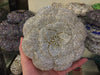 Floral Rhinestone Minaudiere Evening Clutch Rose Crystal Bridal Wedding Party Bag
