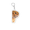 Funny Cat Meme Acrylic Keychain - Cute Cartoon Cat Bag Pendant & Lanyard for Women, Students, Unisex Gift