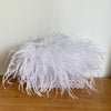 Pearl Bead Feather Fur Acrylic Crystal Box Clutch — Handmade Evening Party Handbag