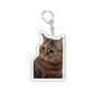 Funny Cat Meme Acrylic Keychain - Cute Cartoon Cat Bag Pendant & Lanyard for Women, Students, Unisex Gift