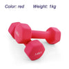 1 kg (2.2 lb) Women's Plastic-Dipped Dumbbell for Home Fitness & Strength Training (Multicolor)