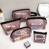 Heart Transparent Mesh Makeup Bag - Clear Zipper Cosmetic Pouch for Women, Portable Toiletry & Lipstick Organizer