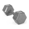 20 lb (9.1 kg) Cast Iron Hex Dumbbell - Single, Rubber-Coated Gym Weight for Strength Training