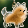 Dog Hair Storage Keychain Pendant Cute Resin Dog Fur Keeper Bag Charm for Car Keys, Couples & Gifts