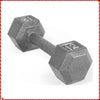 Cast Iron 12 lb (5.4 kg) Hex Dumbbell - Home Gym Strength Training Single-Hand Weight for Men & Women