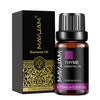 MAYJAM 10ml (0.34 fl oz) Pure Aromatherapy Essential Oil - Lavender, Jasmine, Eucalyptus, Vanilla, Sandalwood, Bergamot, Rosemary, Citronella, Cinnamon
