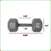 20 lb (9 kg) Hex Dumbbell - Cast Iron Rubber-Coated for Home Gym Strength Training
