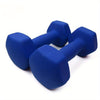 2-Pack Cast Iron Dumbbells – Heavy-Duty Fixed Weight with Non-Slip Grip & Color-Coded Plates (Red/Blue/Purple) for Home Gym